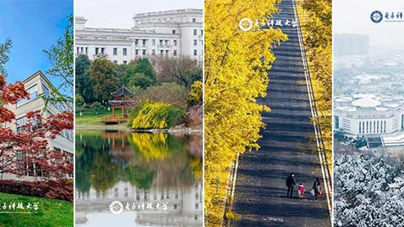 广州电子代工公司：揭秘高效供应链背后的关键要素**